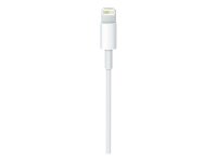 Apple Lightning/USB C Kabel 1,0 m weiß, 1 St.