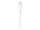 Apple Lightning/USB C Kabel 1,0 m weiß, 1 St.