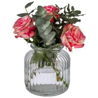 APS Vorratsglas transparent Cookiego, 1 St.