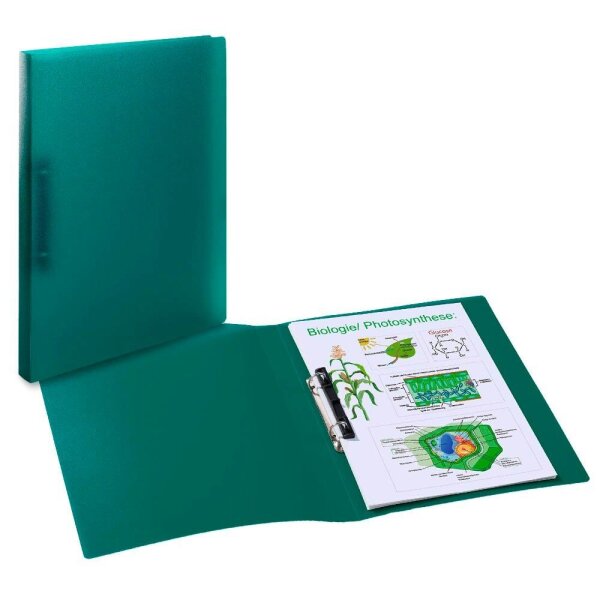 HERMA Ringbuch 2-Ringe dunkeelgrün 3,5 cm DIN A4, 1 St.