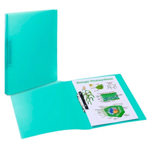 HERMA Ringbuch 2-Ringe türkis 3,5 cm DIN A4, 1 St.