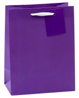 TSI Geschenktüten TRENDFARBEN dunkelrot, lia, grün, hellblau, gelb, rosa 18,0 x 23,0 cm, 12 St.