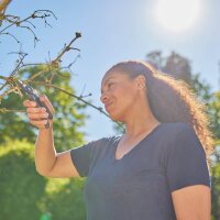 GARDENA PremiumCut Gartenschere