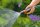 GARDENA Gartenschlauch Classic 18,0 m