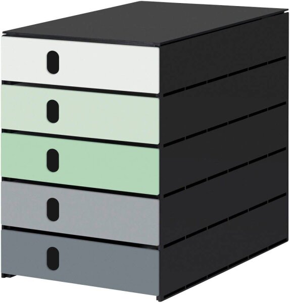 styro Schubladenbox styroval pro Emotions Frühling  grün, grau 14-8000.FR, DIN A4 mit 5 Schubladen, 1 St.