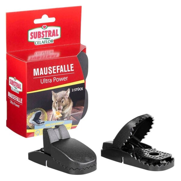 SUBSTRAL® Celaflor® Mausefallen Ultra Power schwarz, 2 St.