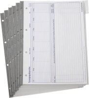 BOI Organisationshüllen DIN A4 transparent genarbt,...