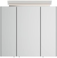 POSSEIK Spiegel mit Beleuchtung 70 grafit 70,0 x 17,0 x 62,0 cm