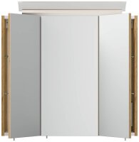 POSSEIK Spiegel mit Beleuchtung 70 eiche gold 70,0 x 17,0 x 62,0 cm