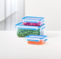 emsa Frischhaltedosen-Set CLIP & CLOSE transparent 0,55/1,0/2,2 l, 1 Set