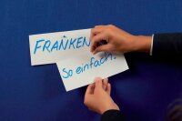 FRANKEN Moderationskarten grün 9,5 x 20,5 cm, 500 Blatt