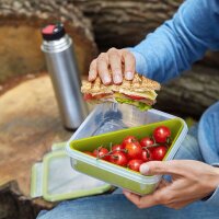 emsa Lunchbox CLIP & GO transparent 0,85 l, 1 St.