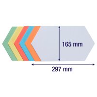 FRANKEN Moderationskarten farbsortiert 29,7 x 16,5 cm,...