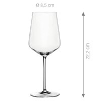 SPIEGELAU Weißweingläser Style 440,0 ml, 12...