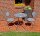 Garden Pleasure Sitzgruppe ROYAL, dunkelgrau Metall, 3-teilig