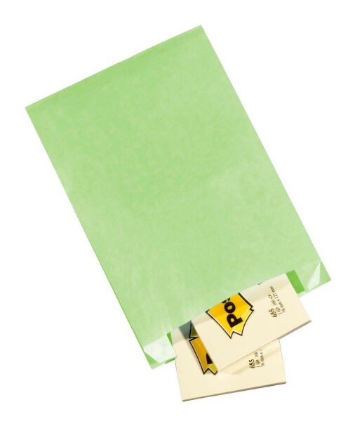 VP Faltenbeutel hellgrün 15,0 x 21,0 cm, 100 St.