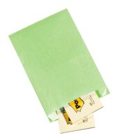 VP Faltenbeutel hellgrün 15,0 x 21,0 cm, 100 St.
