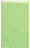 VP Faltenbeutel hellgrün 15,0 x 21,0 cm, 100 St.