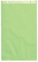 VP Faltenbeutel hellgrün 20,0 x 32,0 cm, 100 St.