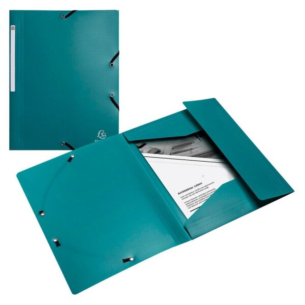 Exacompta Sammelmappe Opak DIN A4 grün, 1 St.