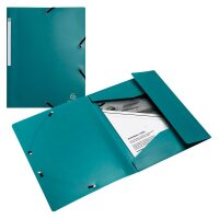 Exacompta Sammelmappe Opak DIN A4 grün, 1 St.