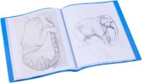 Exacompta Opak Sichtbuch DIN A4, 20 Hüllen hellblau, 1 St.