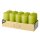 STARPAK Stumpenkerzen kiwi, 10 St.