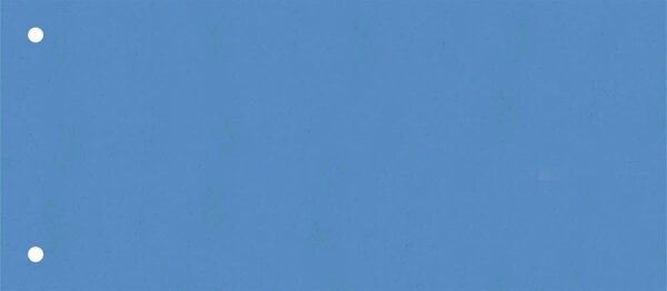 BRUNNEN Trennstreifen blau, 180 g/qm Karton 24,0 x 10,5 cm, 10 St.