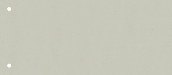 BRUNNEN Trennstreifen grau, 180 g/qm Karton 24,0 x 10,5 cm, 10 St.
