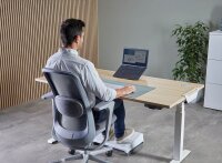 Fellowes Laptop-Ständer Alumia™ schwarz