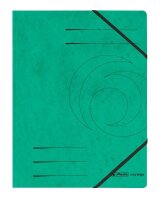 herlitz Eckspanner easy orga DIN A4 grün, 5 St.