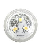 folia LED Dekoleuchten transparent, 2 St.