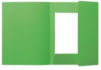 folia Sammelmappe DIN A4 grün, 1 St.