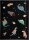 folia Sammelmappe DIN A3 Space Dino, 1 St.