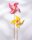 folia Bastelholz natur Windrad Stab, 1 Set