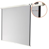 celexon Rolloleinwand Economy 1:1, 160 x 160 cm...