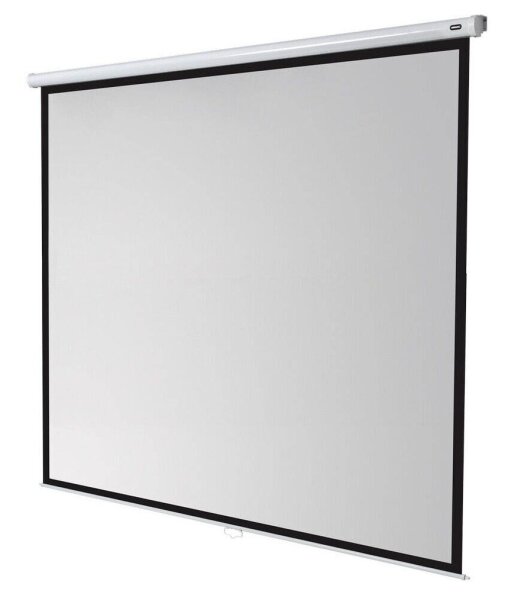celexon Rolloleinwand Economy 1:1, 300 x 300 cm Projektionsfläche