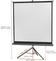 celexon Stativleinwand Economy 1:1, 244 x 244 cm Projektionsfläche