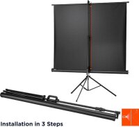 celexon Stativleinwand Economy 4:3, 244 x 183 cm Projektionsfläche