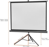 celexon Stativleinwand Economy 4:3, 244 x 183 cm Projektionsfläche