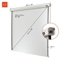 celexon Rolloleinwand Professional 1:1, 220 x 220 cm Projektionsfläche