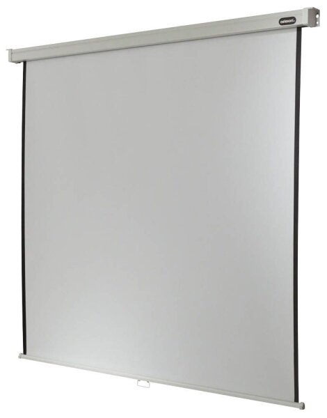 celexon Rolloleinwand Professional 1:1, 240 x 240 cm Projektionsfläche