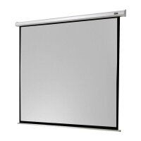 celexon elektrische Rolloleinwand Economy Motor 1:1, 280...
