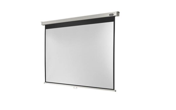 celexon Rolloleinwand Professional 4:3, 234 x 176 cm Projektionsfläche