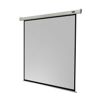 celexon elektrische Rolloleinwand Economy Motor 1:1, 220...