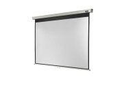 celexon Rolloleinwand Professional 4:3, 194 x 146 cm...