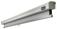 celexon Rolloleinwand Professional 16:9, 160 x 90 cm...