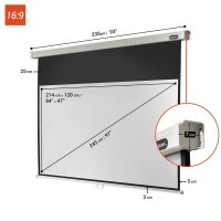 celexon Rolloleinwand Professional 16:9, 220 x 124 cm Projektionsfläche