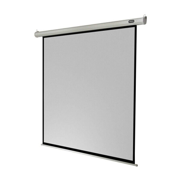 celexon elektrische Rolloleinwand Economy Motor 1:1, 120 x 120 cm Projektionsfläche