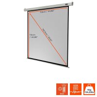 celexon elektrische Rolloleinwand Economy Motor 1:1, 120...